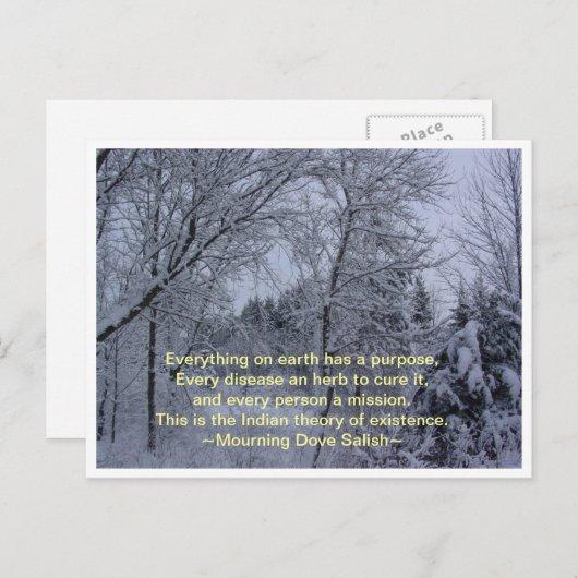 Alles op aarde briefkaart (Voorkant / Achterkant)