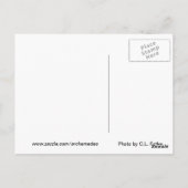 Alles op aarde briefkaart (Achterkant)