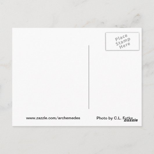 Alles op aarde briefkaart (Achterkant)