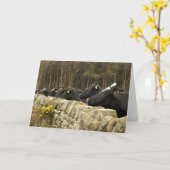 Alles op een rij Wenskaart Kaart (Gele Bloem)