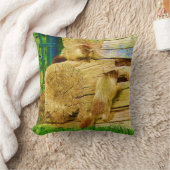 Alles over de Marmots - Baby Geelbuikmarmot Kussen (Deken)