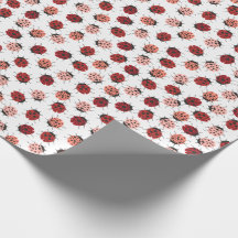 Alles over Ladybugs roze en rood
