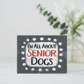 Alles over Senior Dogs Briefkaart (Staand voorkant)