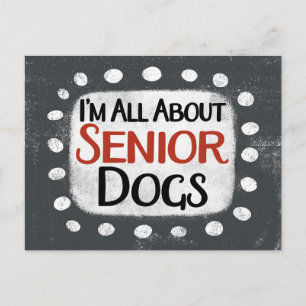 Alles over Senior Dogs Briefkaart