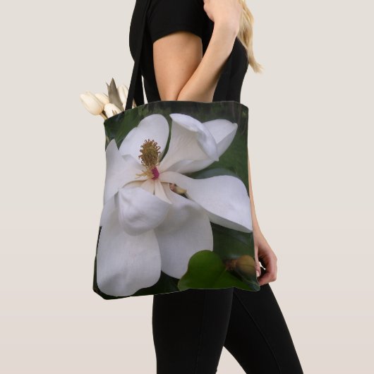 Alles-over Tas - Zuidelijke Magnolia (Dichtbij)