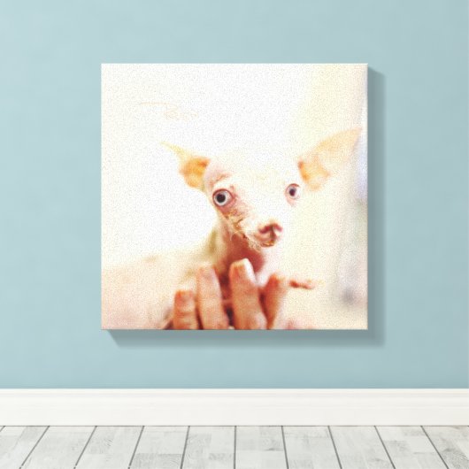 Alles Rosie Fotodoek Canvas Afdruk (Insitu (Houten vloer))