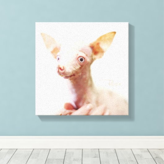 Alles Rosie Fotodoek Canvas Afdruk (Insitu (Houten vloer))