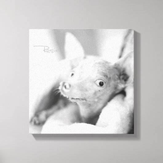 Alles Rosie Fotodoek Canvas Afdruk (Voorkant)