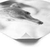 Alles Rosie Photo Foto Afdruk (Hoek)