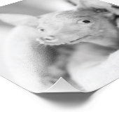 Alles Rosie Photo Foto Afdruk (Hoek)