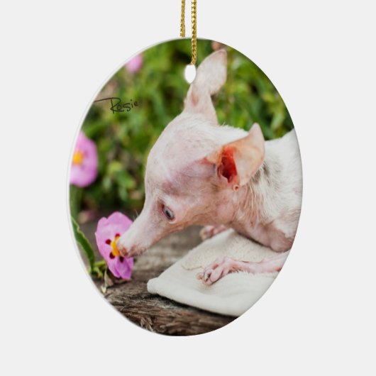 Alles Rosie Photo Ornament (Rechts)