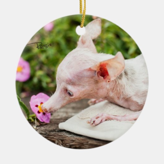 Alles Rosie Photo Ornament (Voorkant)