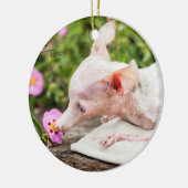 Alles Rosie Photo Ornament (Links)