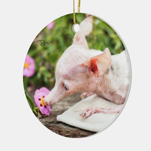 Alles Rosie Photo Ornament (Links)