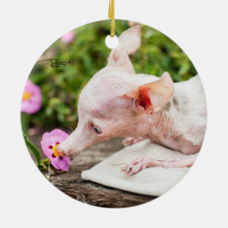 Alles Rosie Photo Ornament