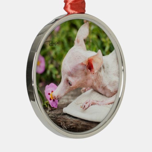 Alles Rosie Photo Ornament (Rechts)