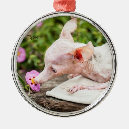 Alles Rosie Photo Ornament (Voorkant)