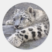 Alles speelde uit Sticker (Voorkant)