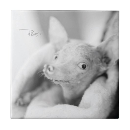 Alles van Rosie Ceramic Tile Tegeltje (Voorkant)