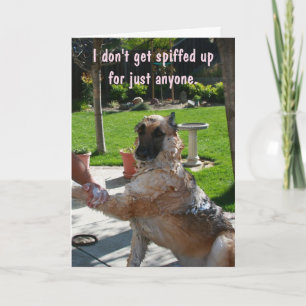 Alles voor je Valentijnsdag Feestdagen Kaart