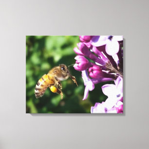 Alles voor stuifmeelhoningbij en Lila Canvas Afdruk