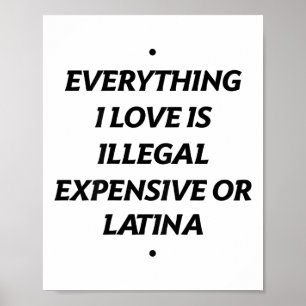 Alles waar ik van hou is illegaal, duur of latina poster