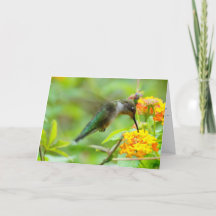 Alles wat goed is komt van boven