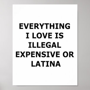 Alles wat ik leuk vind is illegaal, duur of Latijn Poster