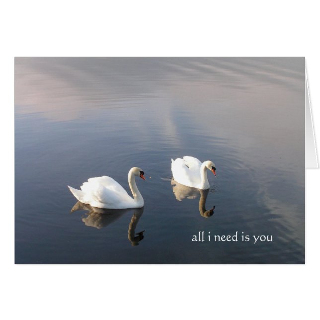 alles wat ik nodig heb is jou (Voorkant Horizontaal)