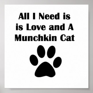 Alles wat ik nodig heb is Liefde en een Munchkin C Poster