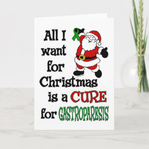 Alles wat ik voor Kerstmis wil... Feestdagen Kaart