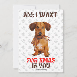 Alles wat ik voor Kerstmis wil Grappige Doxie-riem Feestdagenkaart