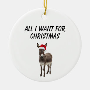 alles wat ik voor kerstmis wil is een ezel, keramisch ornament