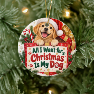 Alles wat ik voor Kerstmis wil is mijn hond Orname Keramisch Ornament