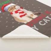 Alles wat ik voor Kerstmis wil is mijn kat Ugly Sa Sherpa Deken (3/4)