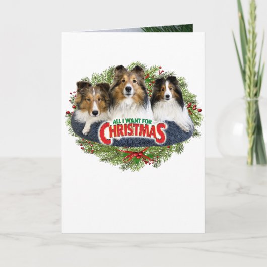 "Alles wat ik voor Kerstmis wil" - Kerstkaart voor Feestdagen Kaart (Voorkant)