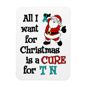 Alles wat ik voor Kerstmis wil...TN Magneet