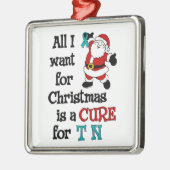 Alles wat ik voor Kerstmis wil...TN Metalen Ornament (Links)