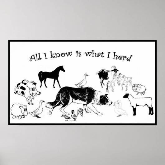 Alles wat ik weet is wat ik overhoop~Border Collie Poster (Voorkant)