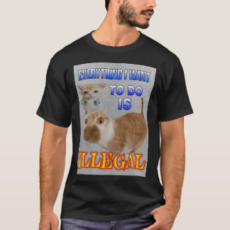 Alles wat ik wil doen is illegale kattenmeme t-shirt