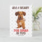 Alles wat ik wil voor Kerstmis Funny Doxie Leash Feestdagenkaart (Staand voorkant)