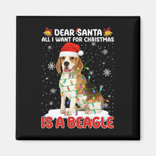 Alles wat ik wil voor Kerstmis is Beagle Santa Hat Magneet