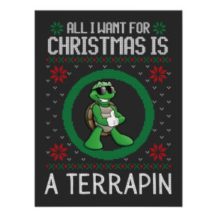 Alles wat ik wil voor Kerstmis is een schildpad le Perfect Poster