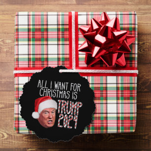 Alles wat ik wil voor Kerstmis is Trump 2024 Ornament Kaart