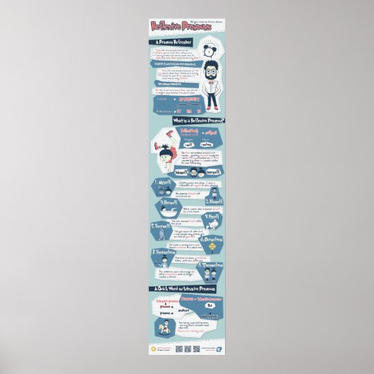 Alles wat je moet weten over reflexieve pronounges poster (Voorkant)