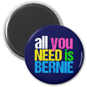 Alles wat je nodig hebt is Bernie Sanders 2020 Magneet