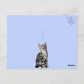 Alles wat je nodig hebt is liefde en een kat briefkaart (Achterkant)