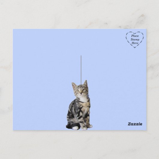 Alles wat je nodig hebt is liefde en een kat briefkaart (Achterkant)