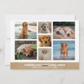 Alles wat je nodig hebt is Love Custom Photo Colla Feestdagenkaart (Achterkant)