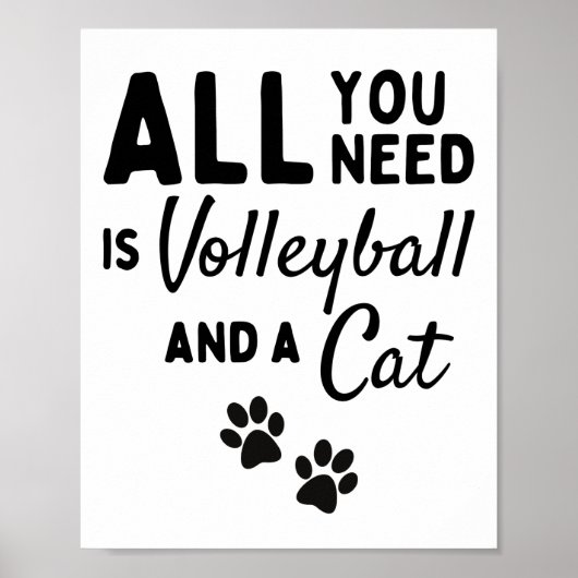 Alles wat je nodig hebt is volleybal en een kat. poster (Voorkant)